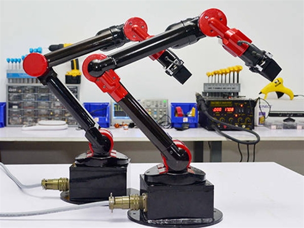 Mechanical arm structure device